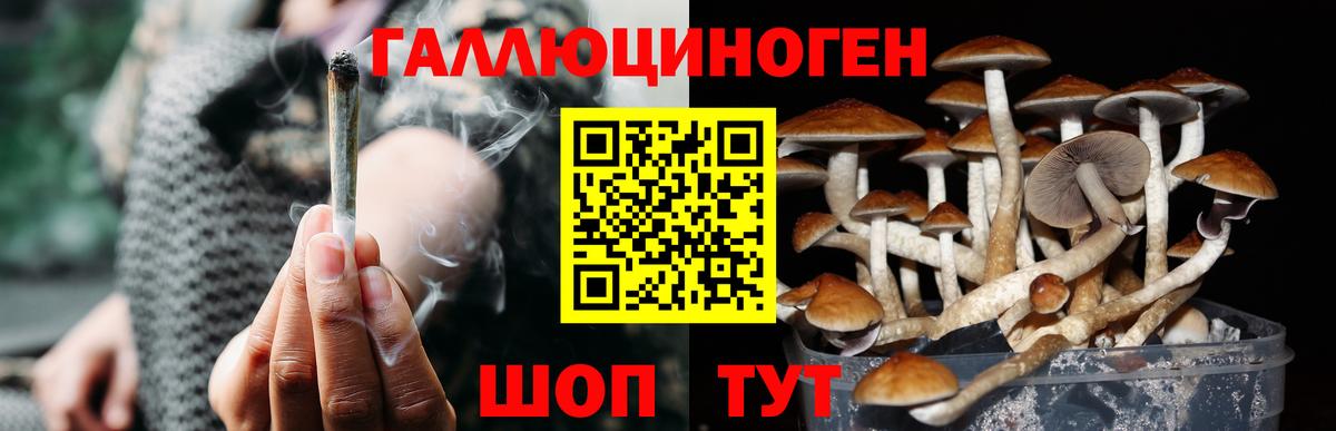 Галлюциногенные грибы мицелий Буйнакск